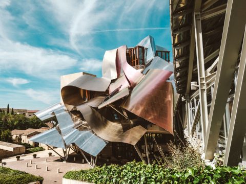 Explore Spain Wine Region Rioja on a Bike