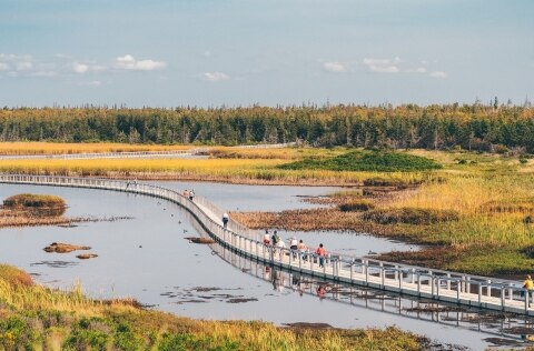 Grenwich National Park on Prince Edward Island, Canada