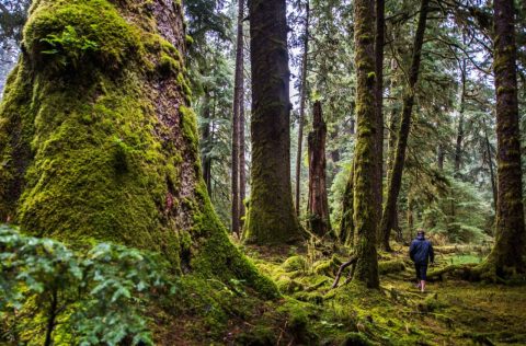 Haida Gwaii, British Columbia, Canada