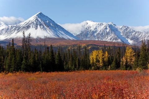 Kluane National Park, Yukon Territory, Canada