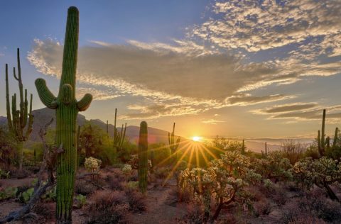 Sabino Canyon, Arizon at sunset