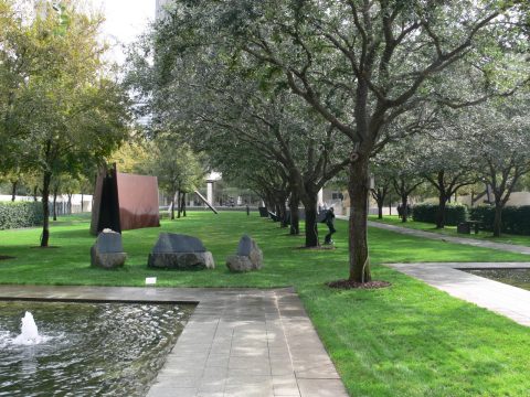Nasher Sculpture Centre