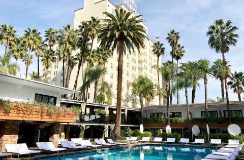 Lounge poolside at the Hollywood Roosevelt