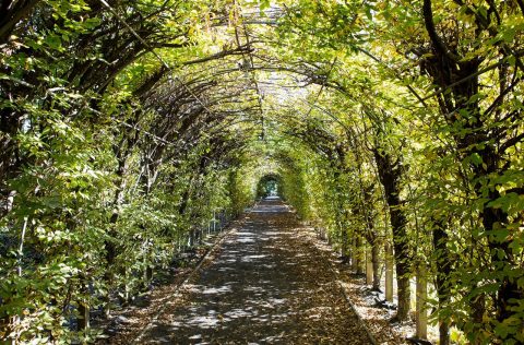 Staten-island snug harbour botanical garden