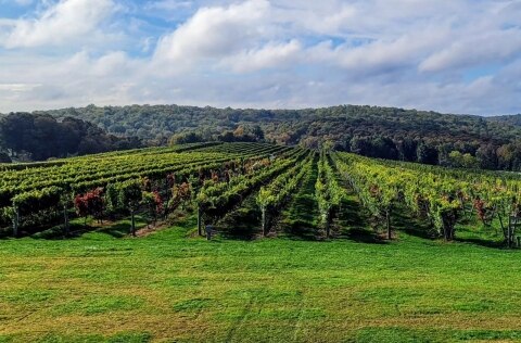 Millbrook Vineyards & Winery