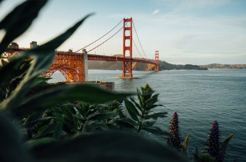 Hero golden gate bridge