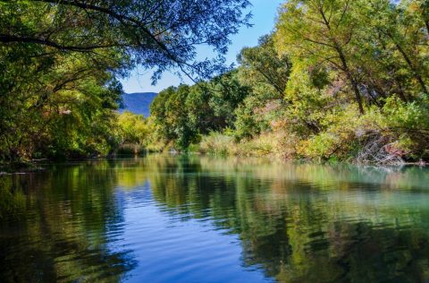 Verde River, Arizona
