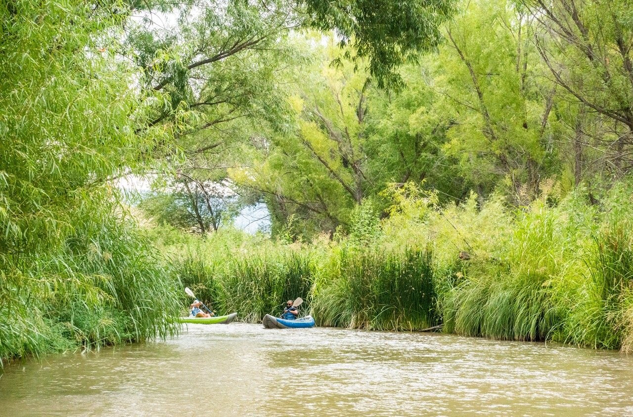 Verde River, Arizona