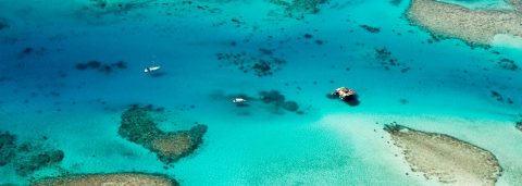 Find Flights