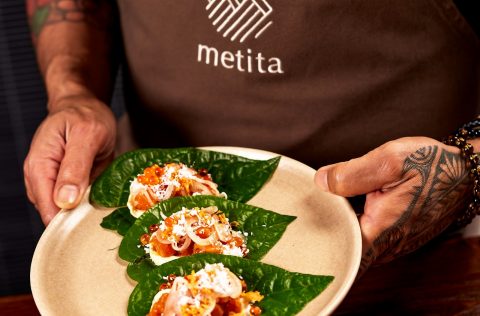 Metita