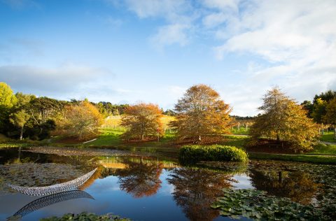 Birck-Bay Lake Vinyards Auckland