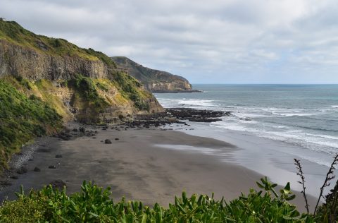 Muruwai BeachA uckland New-Zealand