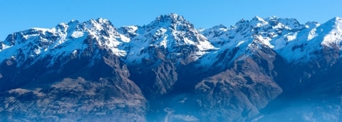 new zealand cta