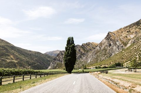 Find Flights with Qantas Now