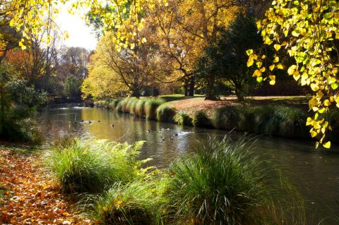 Avon River, Christchurch