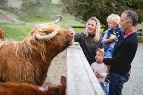 Walter Peak Farm Tours, Queenstown