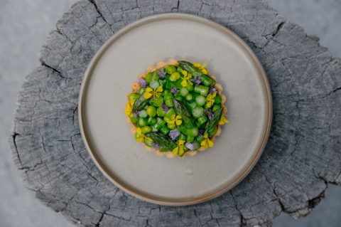 Spring tart at Sherwood, Queenstown