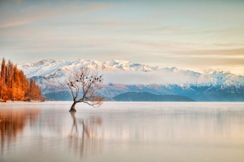 Lake Wanaka, New Zealand
