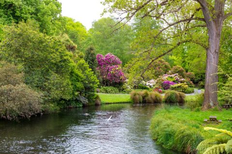 Book flights to Christchurch
