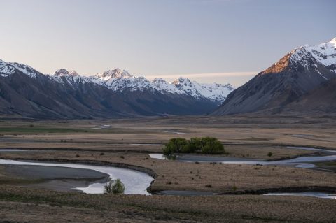 Book flights to New Zealand
