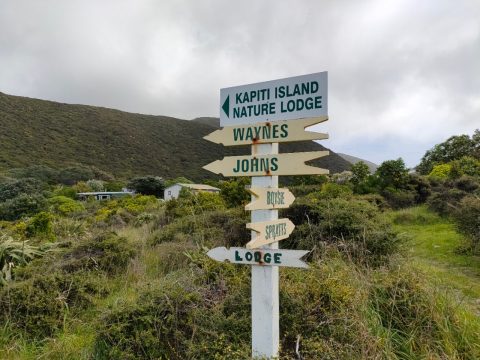 Signage, Kapiti Island, New Zealand