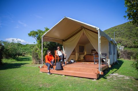 Kapiti Island, New Zealand