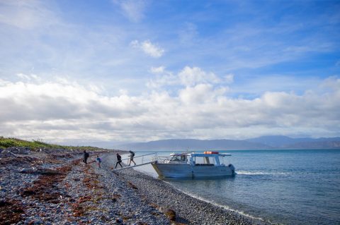 Waiorua Bay, Kapiti Island, New Zealand
