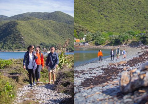 Boulder Bank loop-track and Waiorua Bay, Kapiti Island