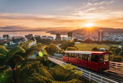 Find Flights with Qantas Now