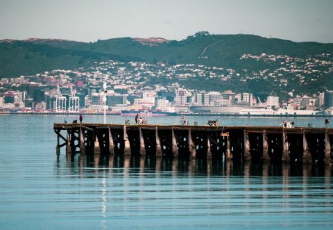 Petone, New Zealand