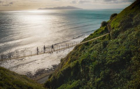 The Escarpment Track, Wellington, New Zealand