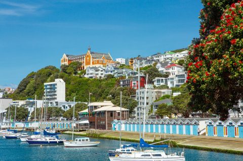 Wellington boatsheds, New Zealand