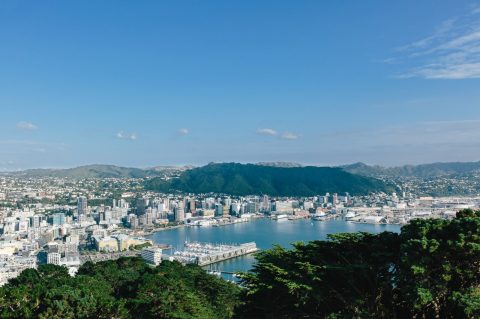 View over Wellington city from Mt Victoria, New Zealand