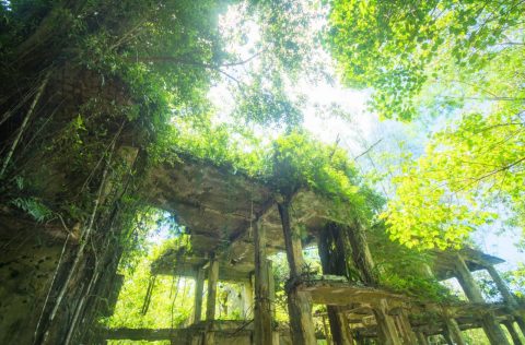 Peleliu Island in Palau