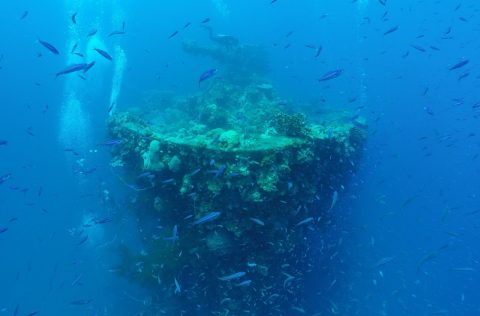 Diving in Micronesia