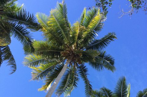 Aore Island Resort, Vanuatu