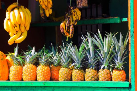 The all-you-can-eat food tour