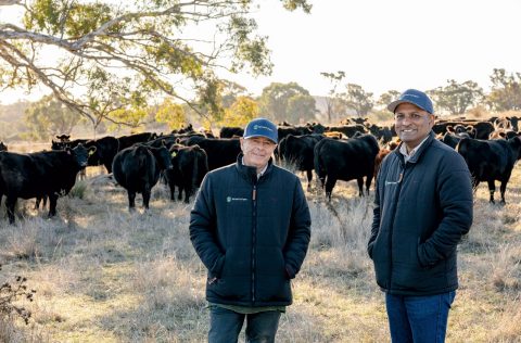 Rony Stephen and Grant Molloy, the founders of SenseMyFarm