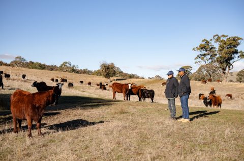 Rony Stephen and Grant Molloy, the founders of SenseMyFarm