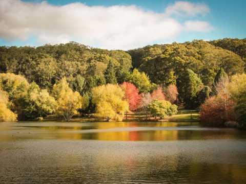 Find Flights with Qantas Now