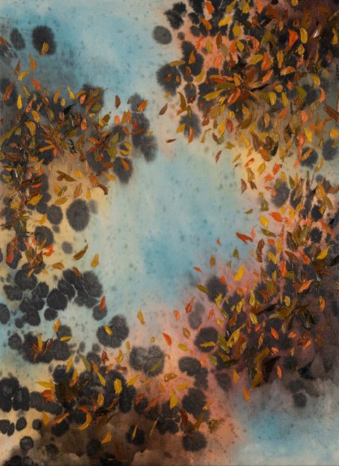 Tiepolo Honey (2024) by Christopher Horder