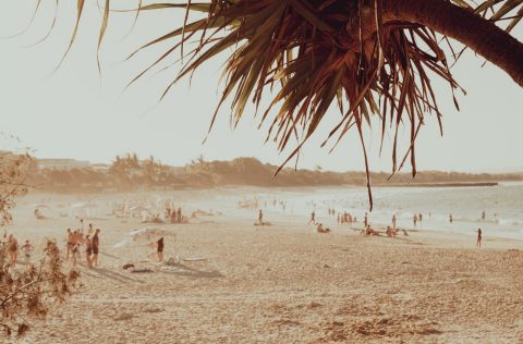 Find Flights with Qantas Now