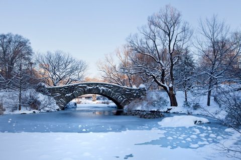 A New York Christmas like the movies, United States