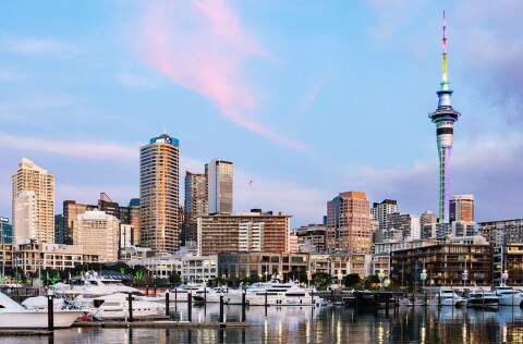 auckland city skyline new zealand 