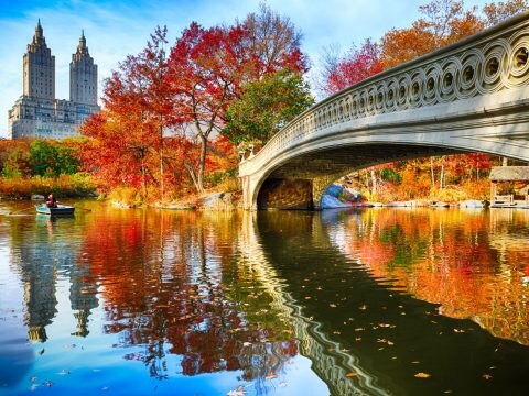 Central Park, New York